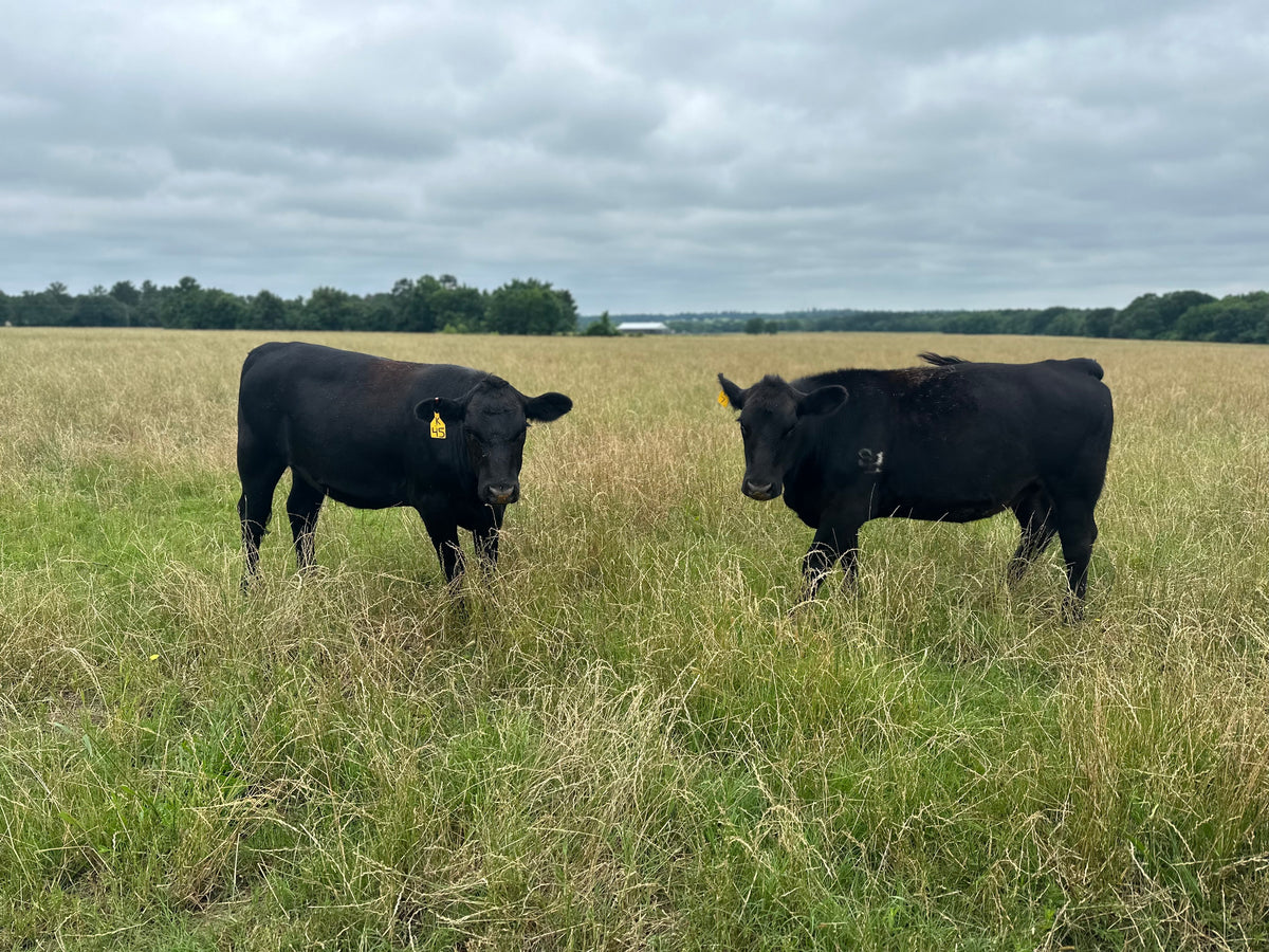 Nelson Farms – Nelson Farms & Co