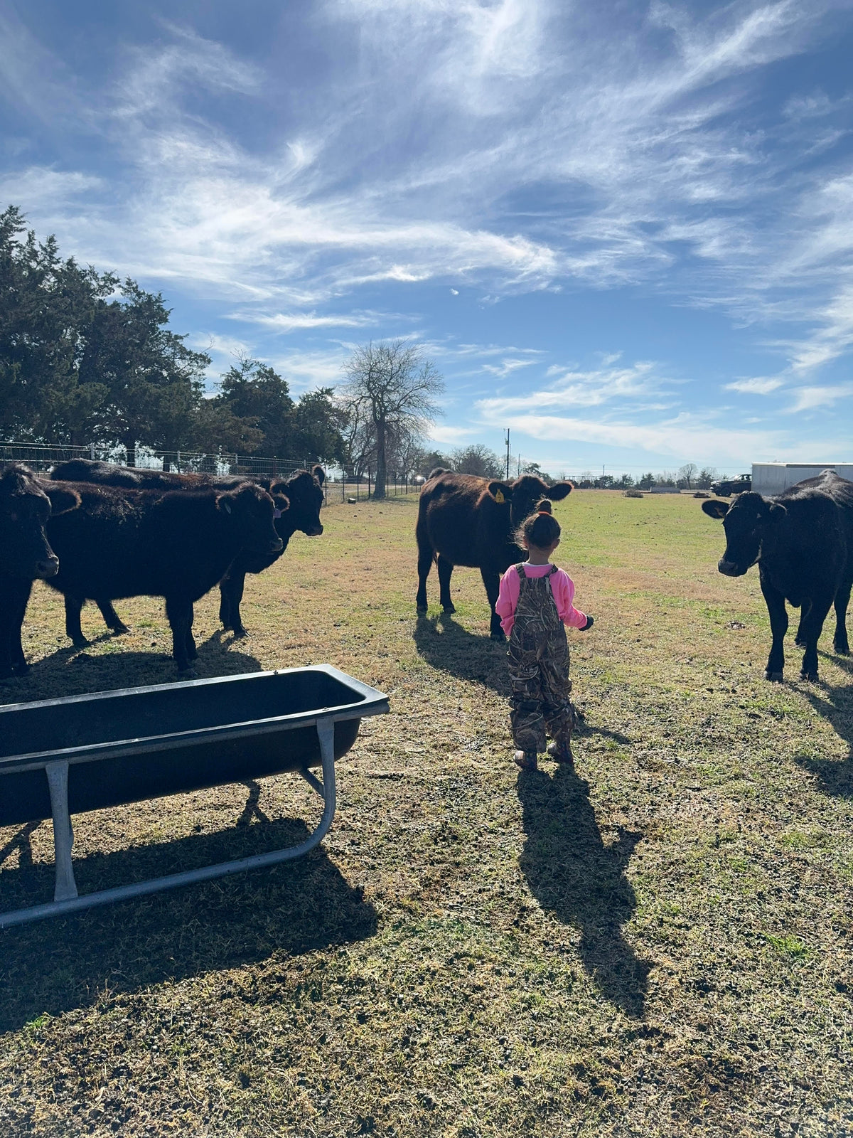 Nelson Farms – Nelson Farms & Co